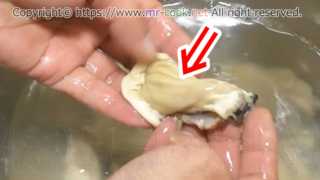 牡蛎を塩水で洗う